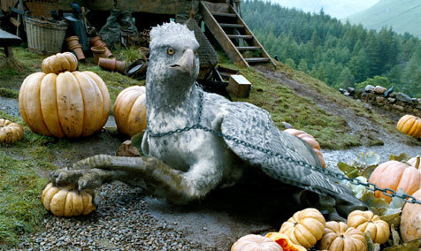 Harry Potter and the Prisoner of Azkaban, Buchbeak