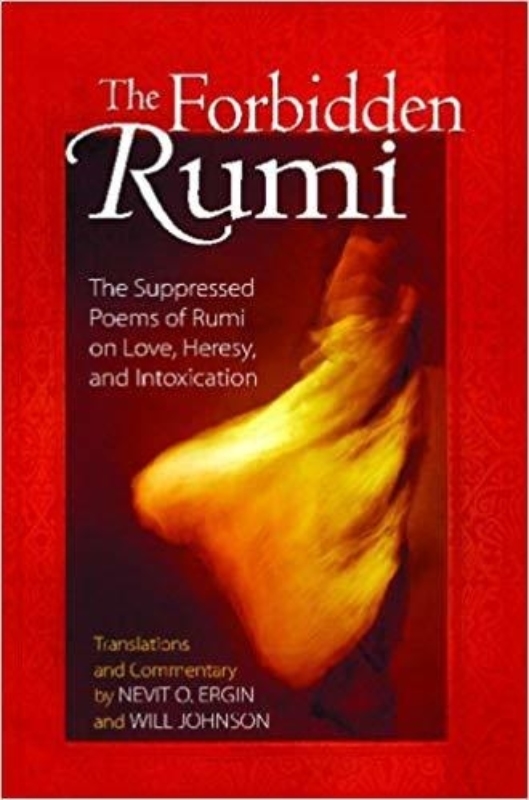 THE FORBIDDEN RUMI by Will Johnson
  