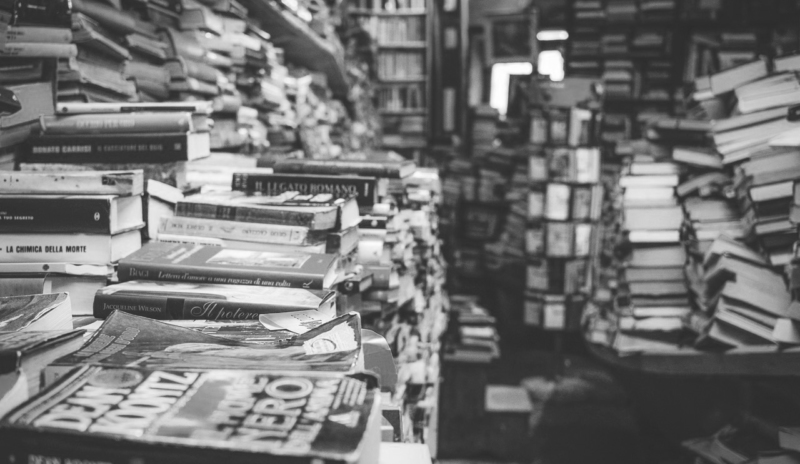 Planning To Outline Your Novel? Don't | NY Book Editors
